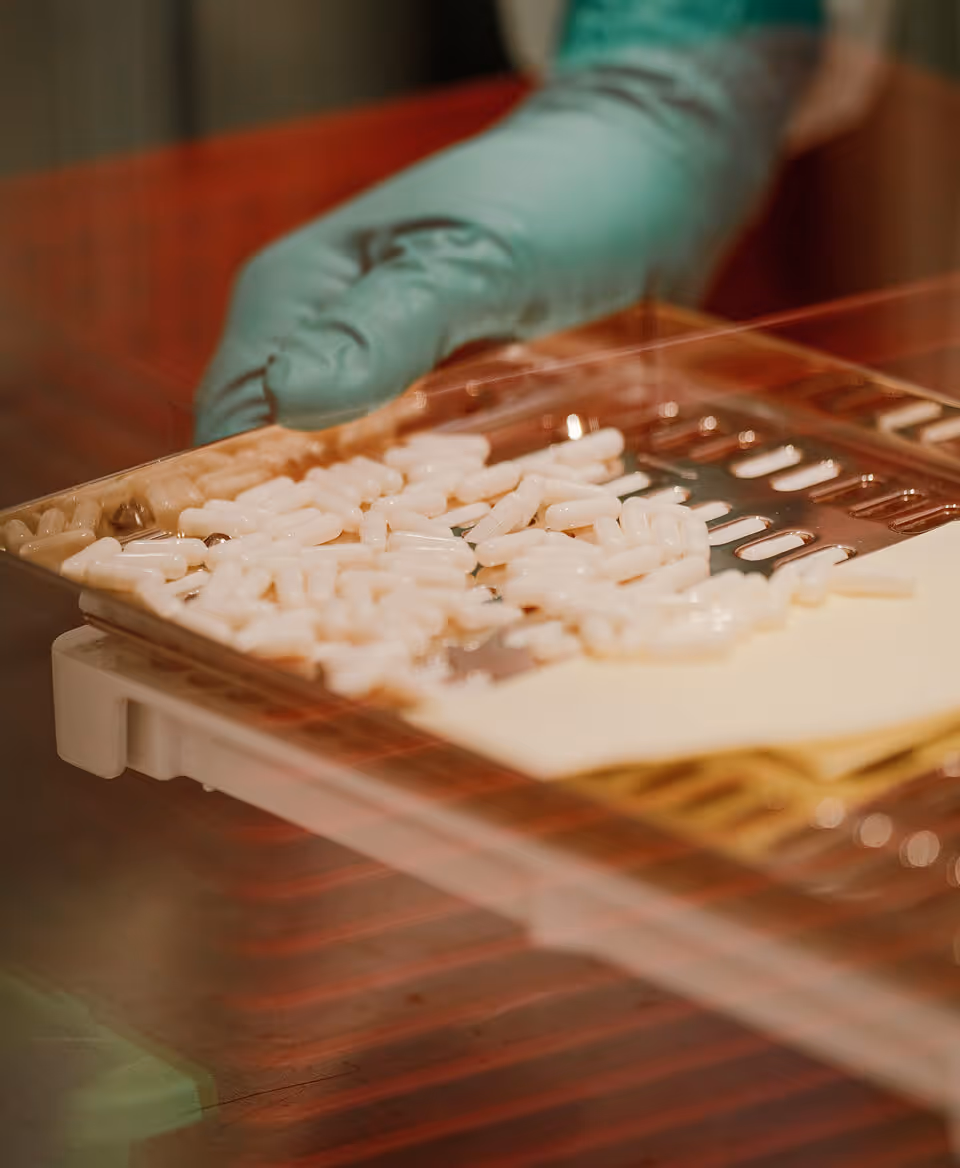 Gloved hand filling a capsule tray